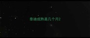 泰迪成熟是几个月