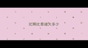 比熊比泰迪大多少