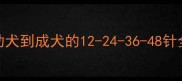 金毛犬疫苗接种全攻略幼犬到成犬的12-24-36-48针全附疫苗禁忌与补种指南