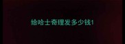 给哈士奇理发多少钱