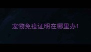 宠物免疫证明在哪里办