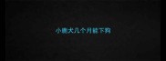小鹿犬几个月能下狗