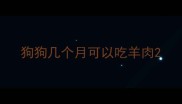 狗狗几个月可以吃羊肉