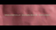 狗狗疫苗后腹泻怎么办疫苗后肠胃问题全攻略附紧急处理指南