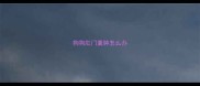 狗狗肛门囊肿怎么办
