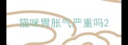猫咪胃胀气严重吗