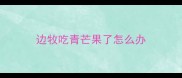 边牧吃青芒果了怎么办