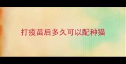 打疫苗后多久可以配种猫