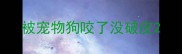 被宠物狗咬了没破皮