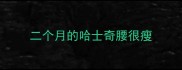 二个月的哈士奇腰很瘦