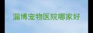 淄博宠物医院哪家好