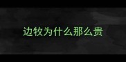 边牧为什么那么贵