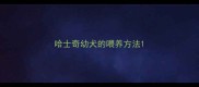 哈士奇幼犬的喂养方法