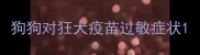 狗狗对狂犬疫苗过敏症状