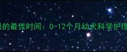 狗狗洗澡的最佳时间0-12个月幼犬科学护理全攻略