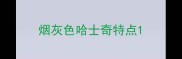 烟灰色哈士奇特点