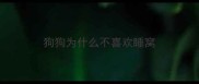 狗狗为什么不喜欢睡窝