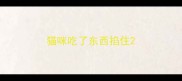 猫咪吃了东西掐住
