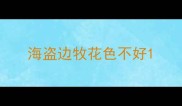 海盗边牧花色不好