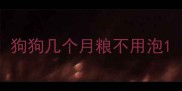 狗狗几个月粮不用泡