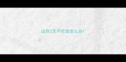 边牧2天不吃饭怎么办