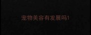 宠物美容有发展吗