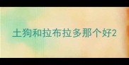 土狗和拉布拉多那个好