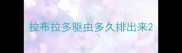 拉布拉多驱虫多久排出来