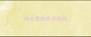 哈士奇幼犬与妈妈