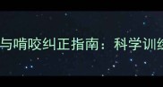 哈士奇频繁吠叫与啃咬纠正指南科学训练解决拆家难题
