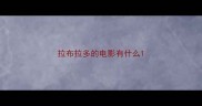 拉布拉多的电影有什么