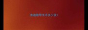 泰迪断甲手术多少钱