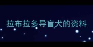 拉布拉多导盲犬的资料