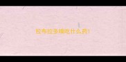 拉布拉多喘吃什么药