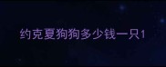 约克夏狗狗多少钱一只