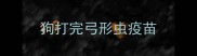狗打完弓形虫疫苗