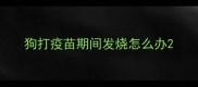 狗打疫苗期间发烧怎么办