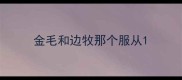 金毛和边牧那个服从