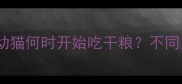 科学喂养指南幼猫何时开始吃干粮不同月龄营养需求全
