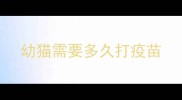 幼猫需要多久打疫苗