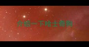 介绍一下哈士奇狗