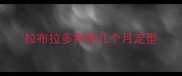 拉布拉多狗狗几个月定型