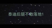 泰迪后腿不敢落地
