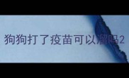 狗狗打了疫苗可以溜吗