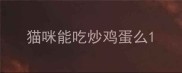 猫咪能吃炒鸡蛋么