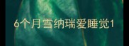 6个月雪纳瑞爱睡觉
