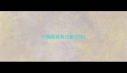 小狗疫苗自己能打吗