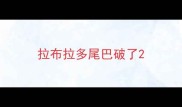 拉布拉多尾巴破了