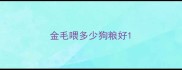 金毛喂多少狗粮好
