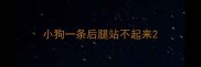 小狗一条后腿站不起来